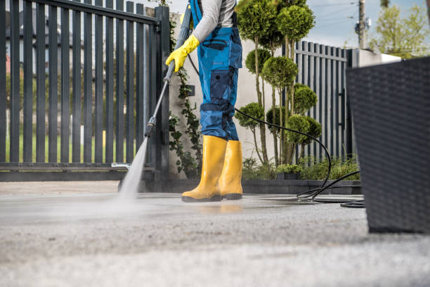 Best Roof Washing  in Poinciana, FL